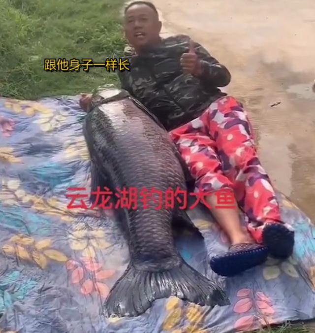 男子钓到176斤大鱼,身形跟人一样长,“年年都要被钓上岸”