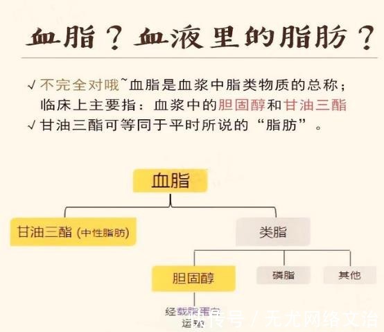 克星|高血脂“克星”公开，避免做这几件事，血管干净通畅