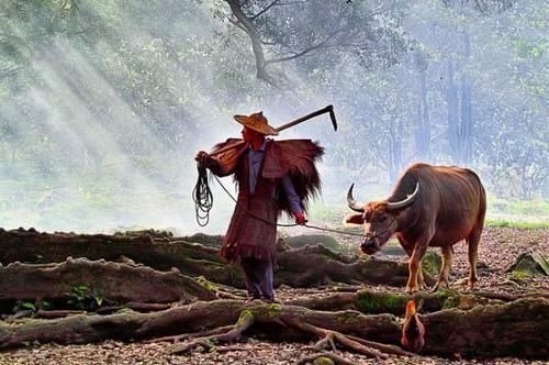 血缘关系|俗语“外甥头,舅家牛;叔嫂房,不同问”,啥意思有道理吗