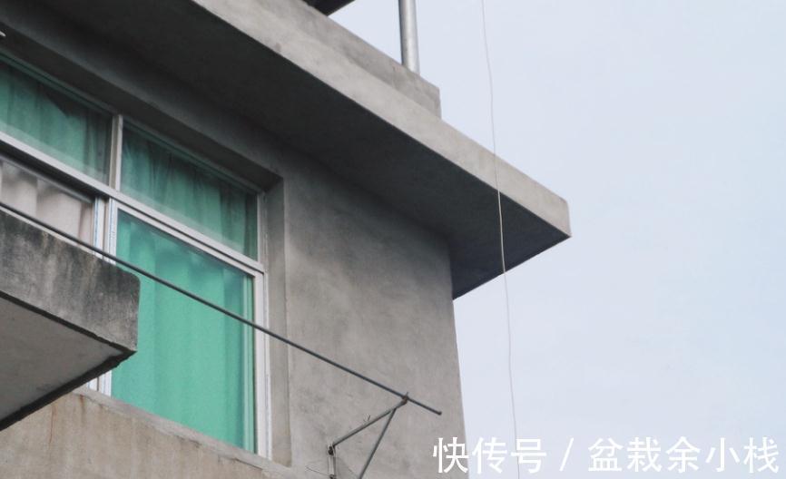 圈梁|农村自建房“门和窗户”一样高吗?窗户最好的尺寸是多少?莫错过