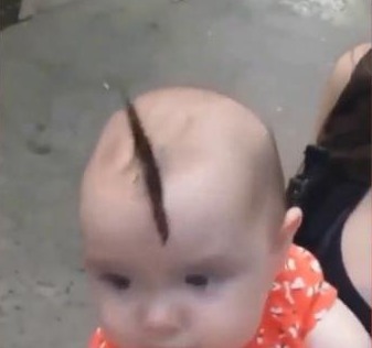 发型|路人看到宝宝留着“扫帚发型”,走近后一看,却是感到不可思议