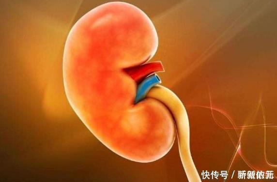 晨起时若没4个现象，说明肾脏还很健壮，若你有，别不当回事