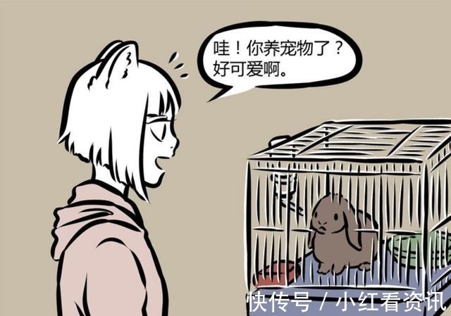 好男人|非人哉九月想结束单身,小玉主动介绍了一个,我该找对象了