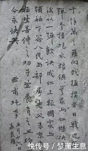 跌宕&“抗日名将”张灵甫书法融古有新，草书跌宕起伏，楷书端庄秀丽