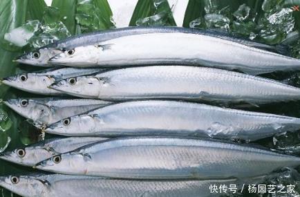 嫌弃|这3种海鱼经常被人嫌弃，但也有人觉得香，渔民：一看就知道识货