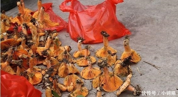 婆婆托人從老家?guī)?lái)的土特產(chǎn),光閨蜜就愿花100塊來(lái)買(mǎi)一斤