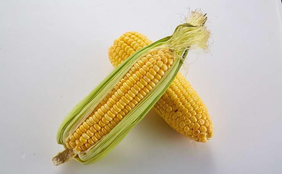 营养|孕期饮食该怎么吃?提醒:营养搭配是关键,孕妈长胎不长肉