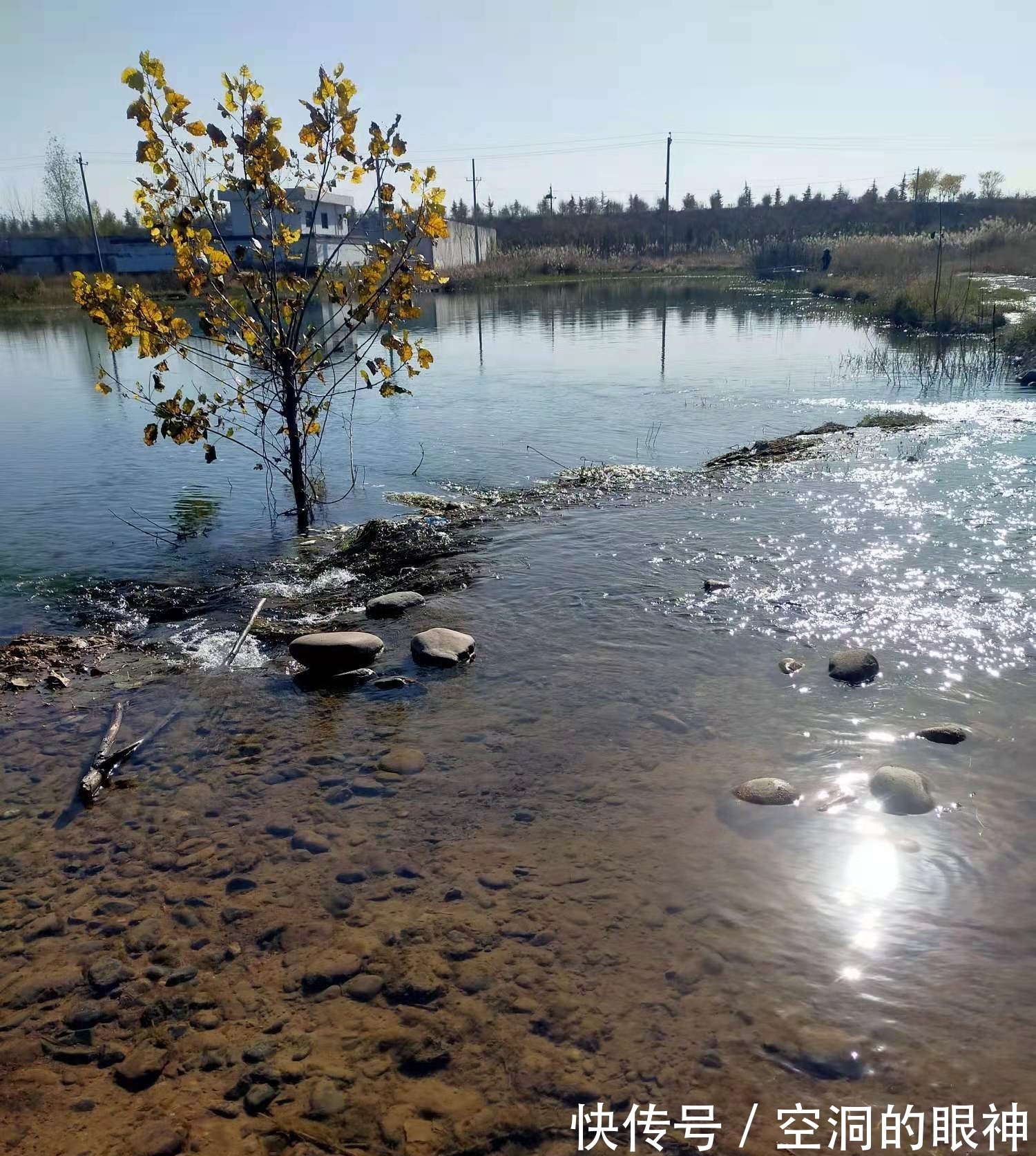 冬季野钓轻松上鱼7小招。