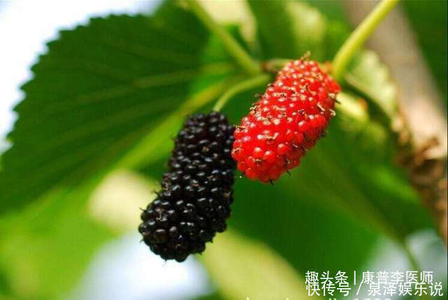 女人气血不足,推荐吃的食物,排毒通便,预防衰老,肌肤年轻红润