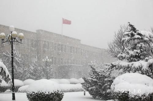 唯有雪花真绝色，飘落时节动师大