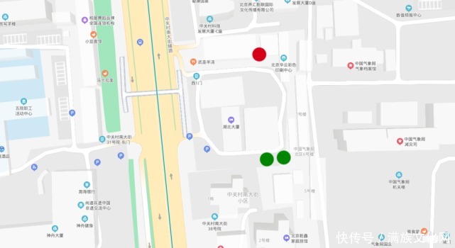 郑亲王家族墓尚存的一棵古树