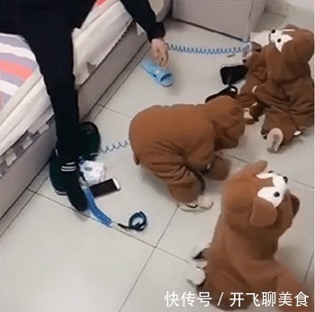 三胞胎|妈妈有事出门,爸爸在家照顾3胞胎,却反过来被3胞胎“照顾”