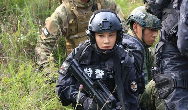 2015年,主演軍旅劇《特警力量》;同年,主演抗日連續劇《玉海棠》