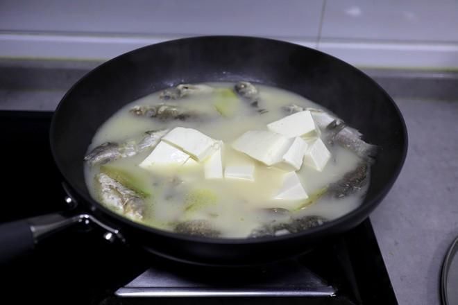 鲫鱼豆腐汤|它的营养比甲鱼还高，浑身上下全是宝贝，一斤7元却无人问津