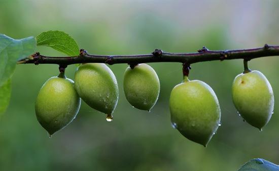 食物|女性到了中年,常吃三种食物,补充能量,排毒清肠,增强体质