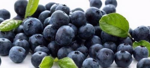  食物|冬天来了，推荐3种食物，清脂刮油，清热解毒，爱美女性记得吃