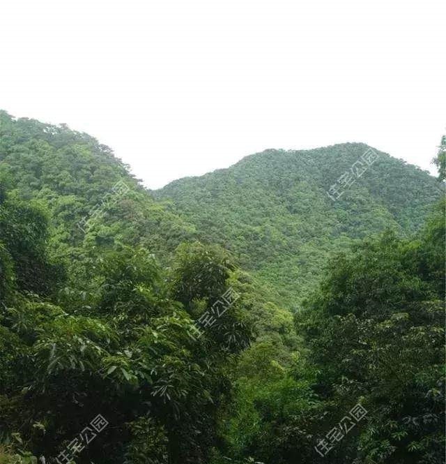 别墅|晒我的农村养老房,100万盖最美现代别墅,比城里住着舒服多了!