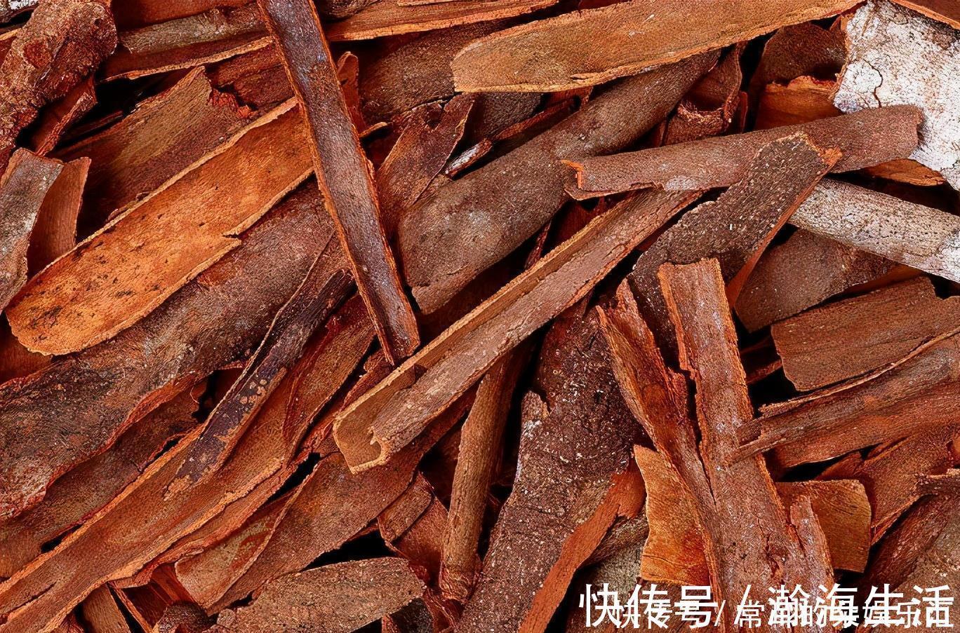 桂皮|桂皮和肉桂“长得很像”，实际上差别很大，买的时候要看仔细了