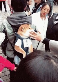 |搞笑GIF:走路玩手机后果很严重 原谅我不厚道的笑了