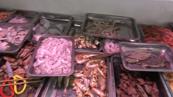  海鸿海鲜面馆|想不到！网红海鲜面馆竟藏在这样的地方