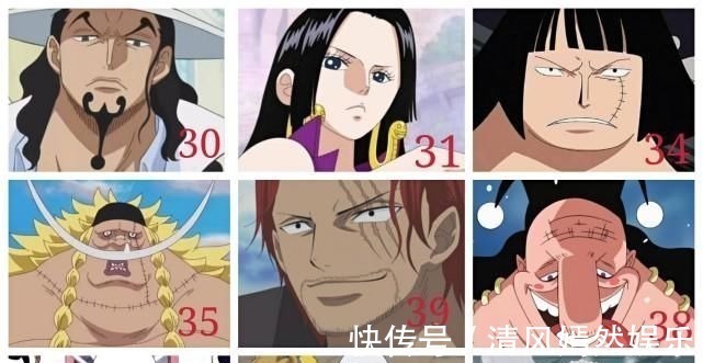 范奥卡|海贼人物年龄盘点,四皇大将级别40岁以下3人,50以上超过10人