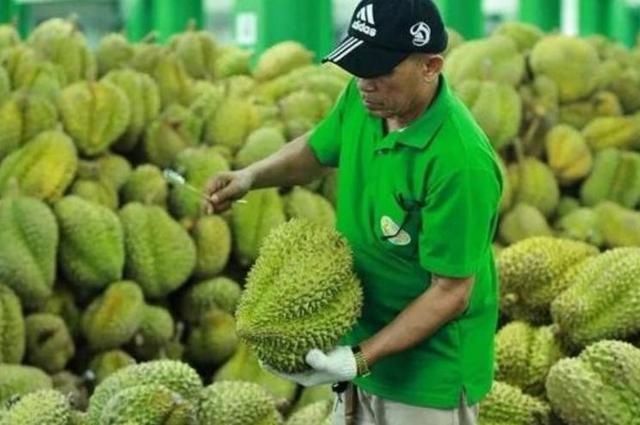 稀罕|中国大量订购滞销榴莲,泰国直接涨价20网友真当我们稀罕吃