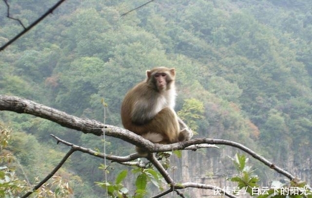 云台山还有这些地方，很多人都不知道