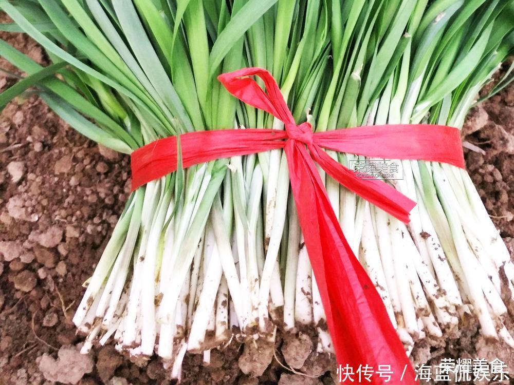 学问|买韭菜学问多,挑宽叶还是细叶,选白根还是红根,看完涨知识了
