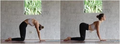 登山式|如何防止胸下垂？加强这块肌肉是重点！