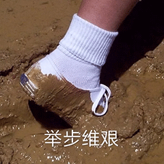 搞笑|微信搞笑表情包|有猪!我不说是谁