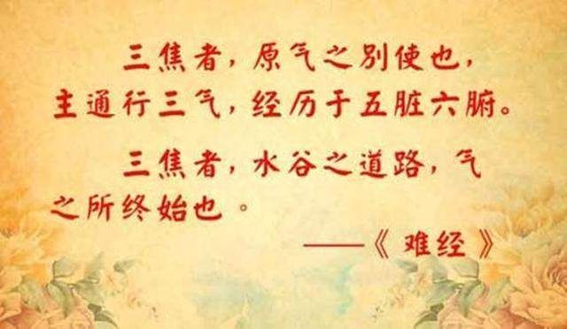 高血脂|三焦不通,百脉皆堵分享一张方子,降血脂,通三焦,畅百脉