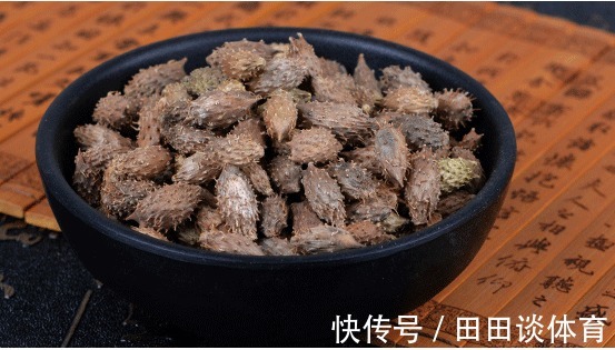 春天粘在衣服上的“小刺猬”,遇到摘回家,收获3大功效