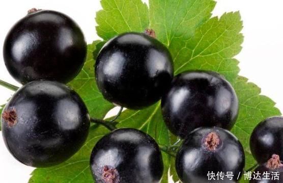 專家常吃此果子,降血壓,延緩衰老、保護視力、保護肝臟