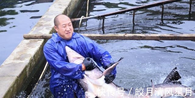 小龙村|金秋“鲟”味｜贵州玩趣达人进鱼村、找鱼乐、吃鱼宴！