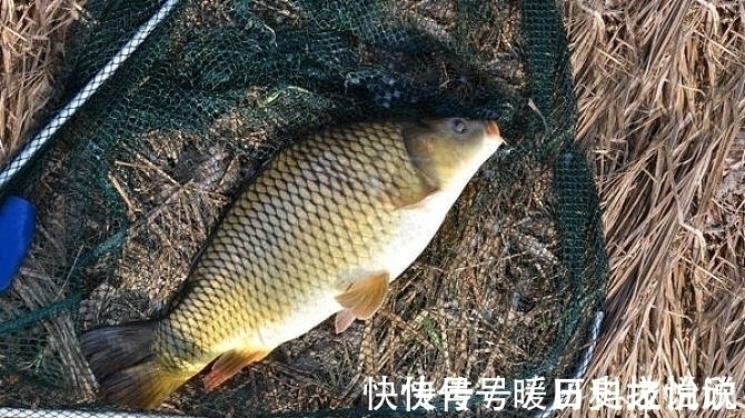 小鱼|钓鱼新手:粗线真的挡口吗?了解这4点,为你揭开挡口是否存在