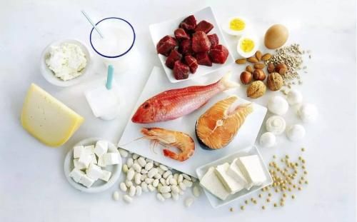 为什么减肥期间推荐高蛋白、低脂肪和适量