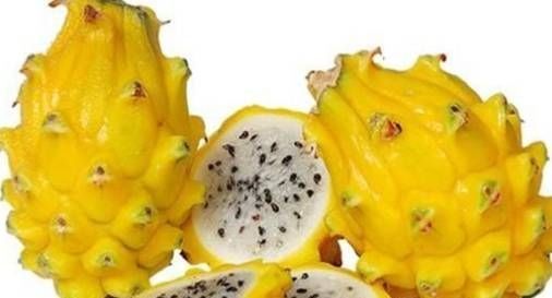 草莓|世界上最贵的水果,吃过3种以上的都是土豪啊