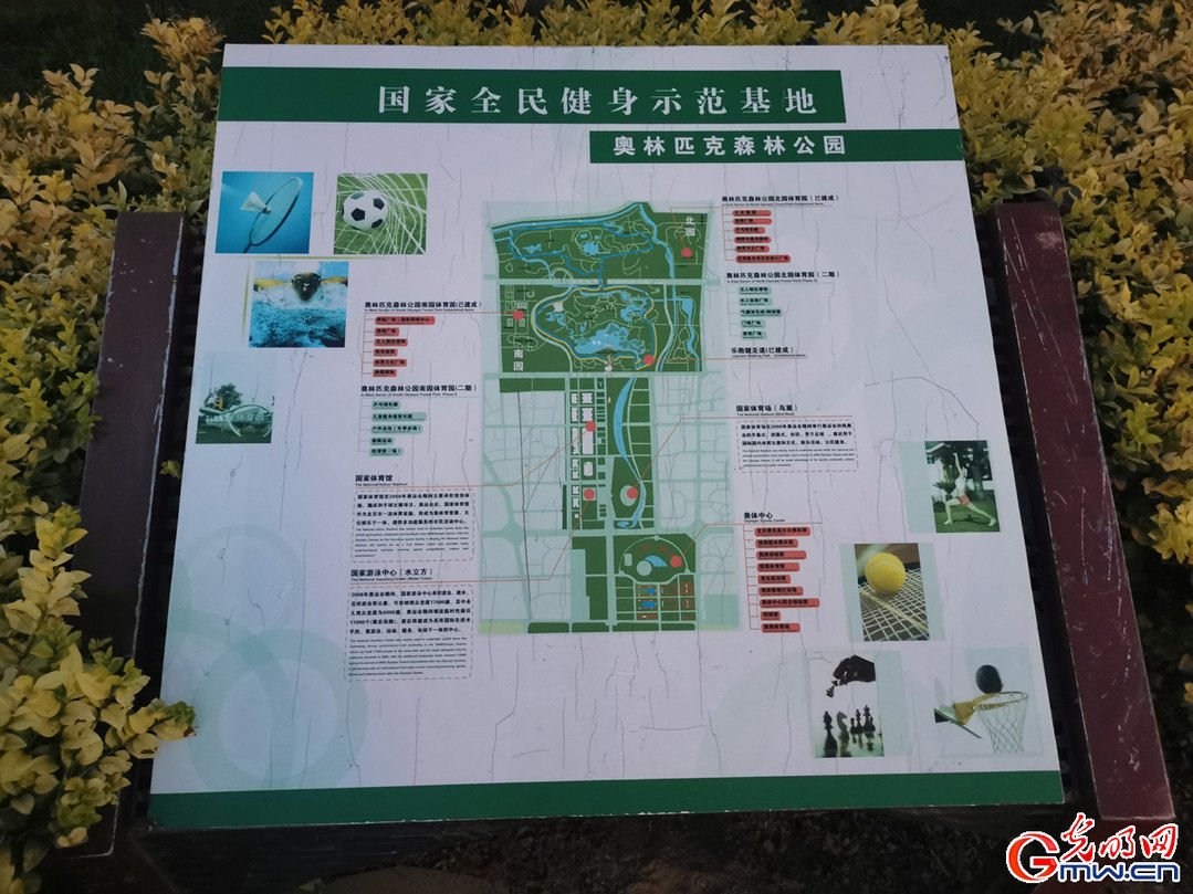 冬奥会 【国际奥林匹克日】从清晨到黄昏，感受奥林匹克精神魅力(组图)