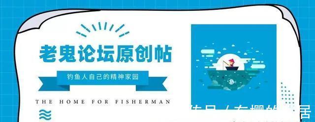 老鬼螺鲤钓鲤鱼,yyds