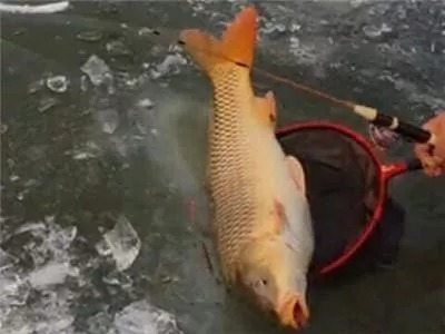 钓鱼|钓鱼的“7大忌”，你晓得吗？都是影响渔获的重要因素，莫忽视