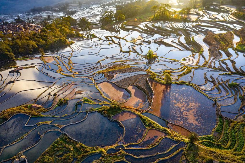 壮美元阳梯田，哈尼族人的大地艺术杰作