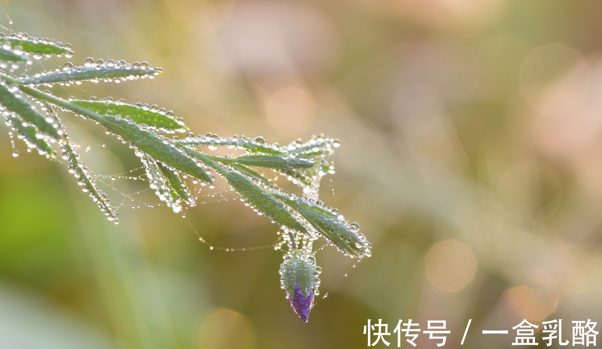 秋思&原创五绝26首