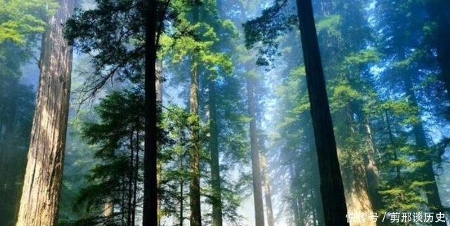 全球气候变暖 地球上还有人类未曾到达的地方吗?科学家:有些地方只能隔岸观火