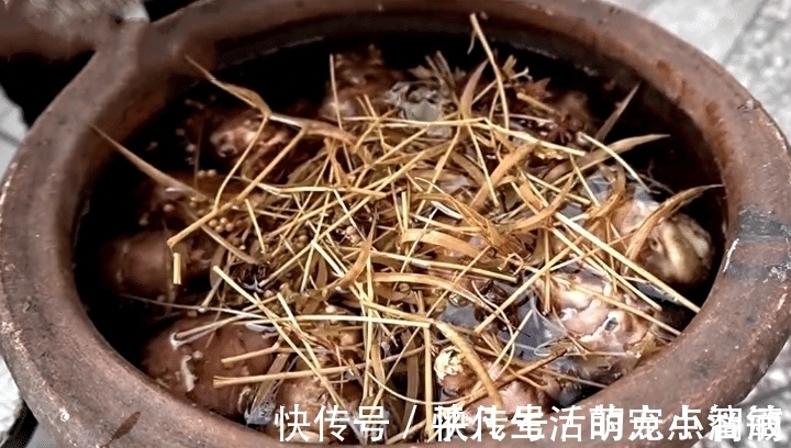 这菜不花一分钱，腌一腌储存一年都不坏，现在正当季，不懂可惜了