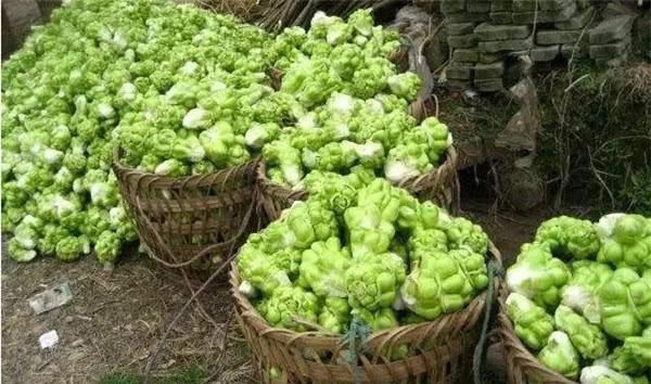 中国的“国民下饭菜”,能与老干妈一决高下,如今是“炫富”标准