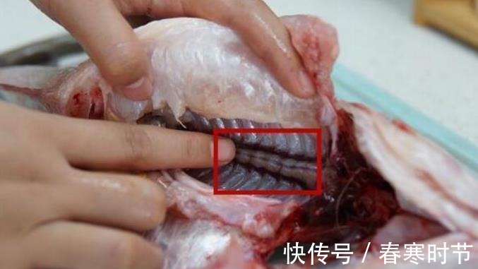 给鱼去腥,不要用料酒,教您一个好方法,炖鱼无腥味,鲜香十足