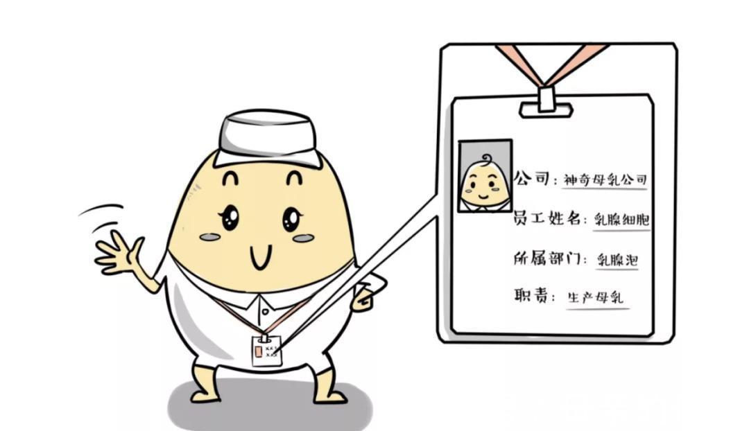 母乳|母乳到底有多神奇?看完你就知道,为什么鼓励喂到两岁以上