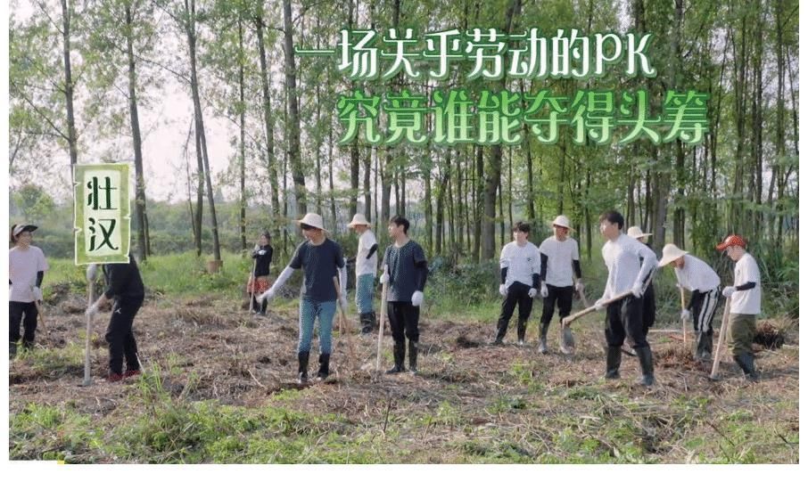 下期维嘉带队来向往5,嘉宾吃饭如流水席,预告精彩连追3遍不停