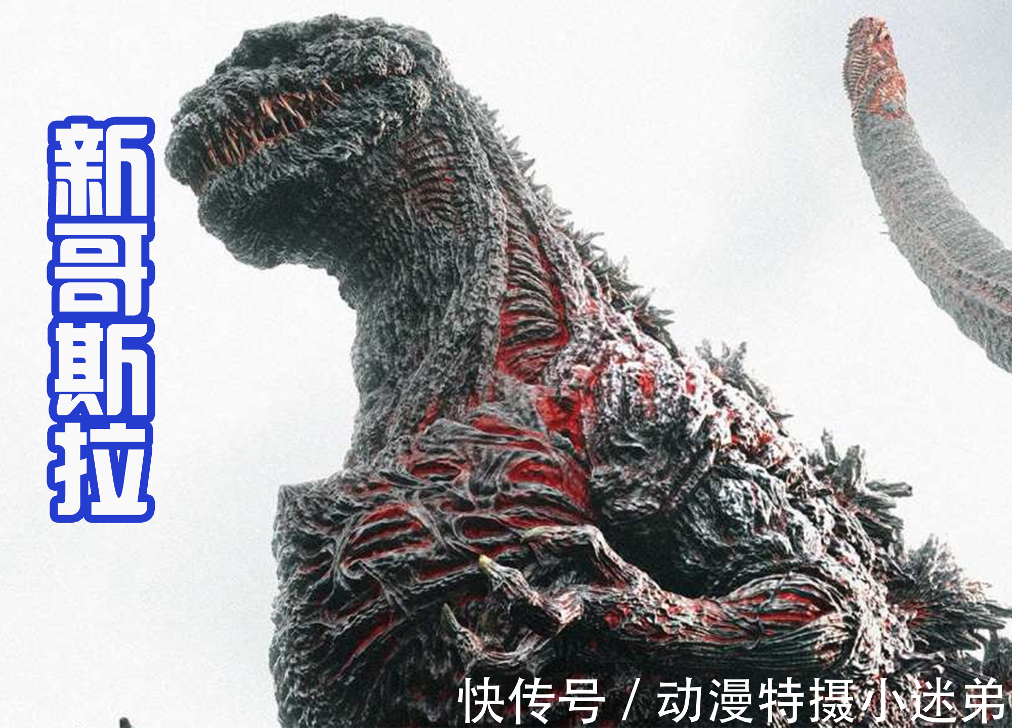 企划案|新英雄宇宙公开,奥特曼联动假面骑士,还要加入哥斯拉和EVA!