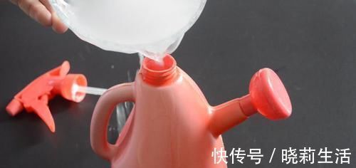 擦玻璃别用水了,教你用一秘招,擦完的玻璃光亮如新,方法太棒了